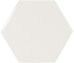 21911 Scale_hexagon white